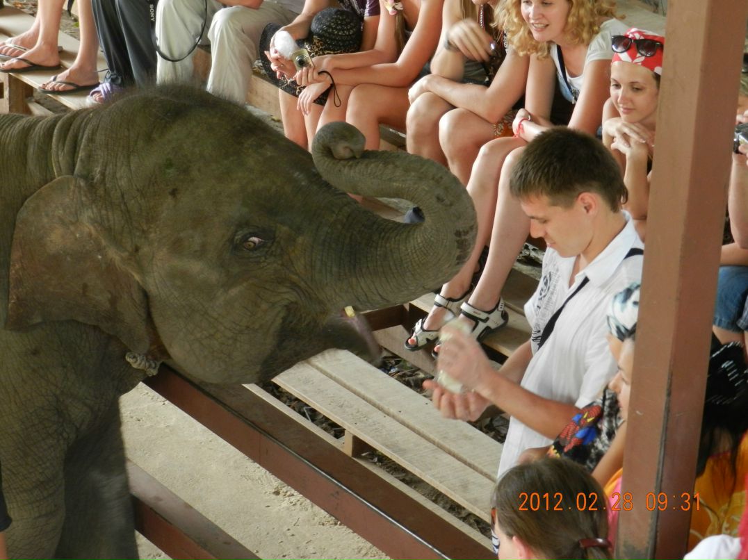 Руслан Габдрахманов | Казань