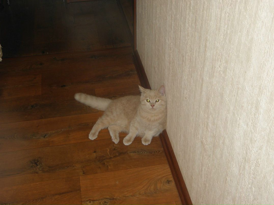 Наталья Акулинич | Санкт-Петербург