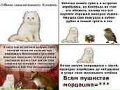 №3 Анна Короткова 24.12: профиль, фото, статус - ВКонтакте