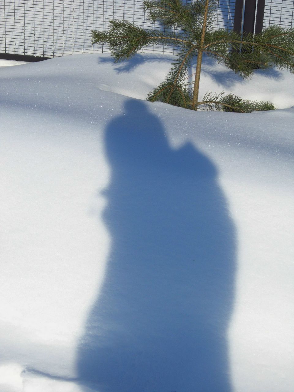 Рита Веселова | Москва