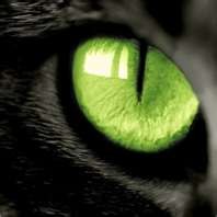 №16, Яночка Кочергина №16, Яночка Кочергина