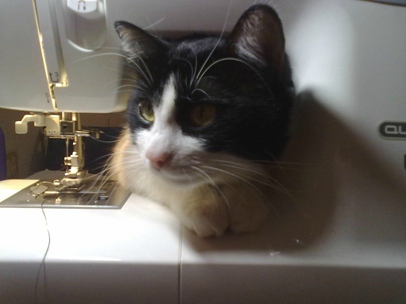 Ульяна Бруйло-Полюх | Брест