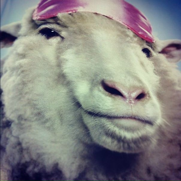 №61, Соня Фернандес, 38 лет, Москва, Россия №61, Соня Фернандес, 38 лет, Москва, Россия