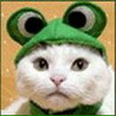 Алексей Друговской | Архангельск