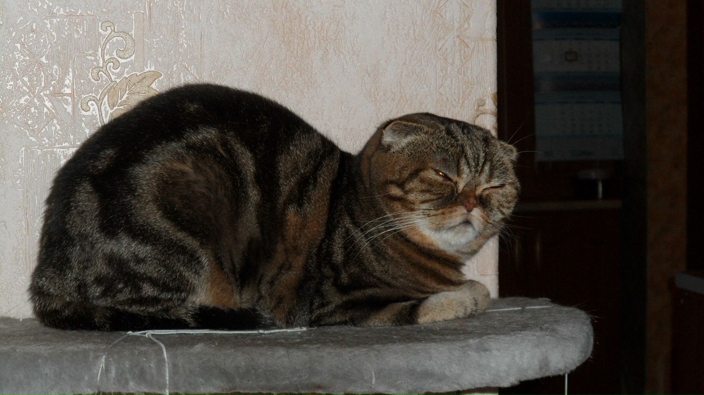 Виктор Артемов | Москва