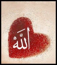 Юлия Кутаева | Санкт-Петербург