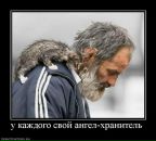 Фотография Алексей Синюков