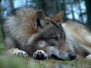 Фотография Иван Муха