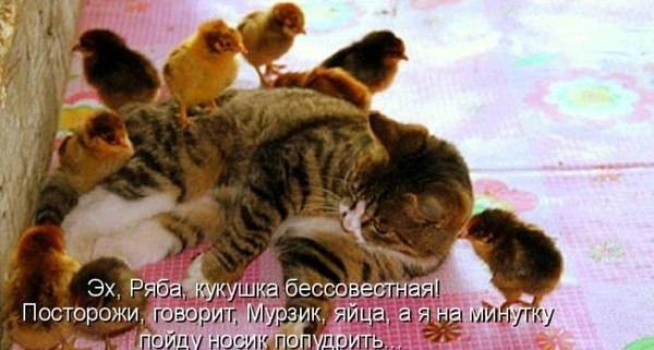 Татьяна Волочкова | Пенза