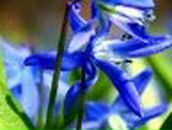 Галина Ковалюк | Горняк