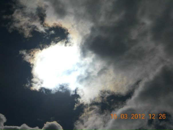 №7, Алексей Белокуров, Санкт-Петербург №7, Алексей Белокуров, Санкт-Петербург