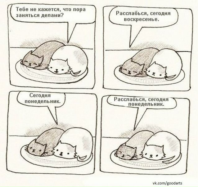 №5, Оля Егорова №5, Оля Егорова