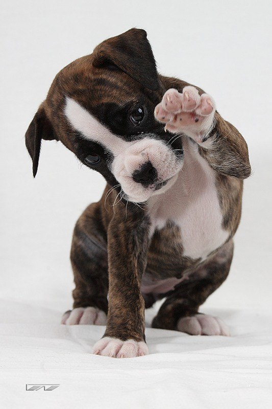 Карим Саржанов | Великий Новгород