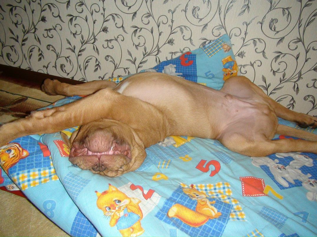 Александр Тараканов | Санкт-Петербург