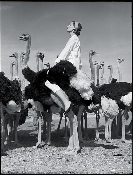 Карина Потиха | 