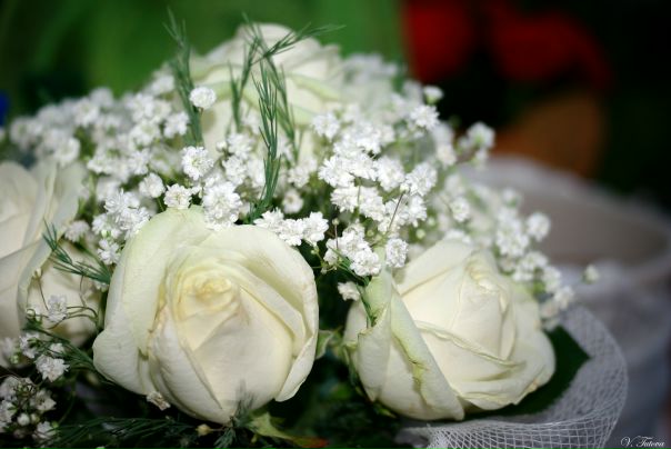 №71, Victoria Tutova, Киев №71, Victoria Tutova, Киев