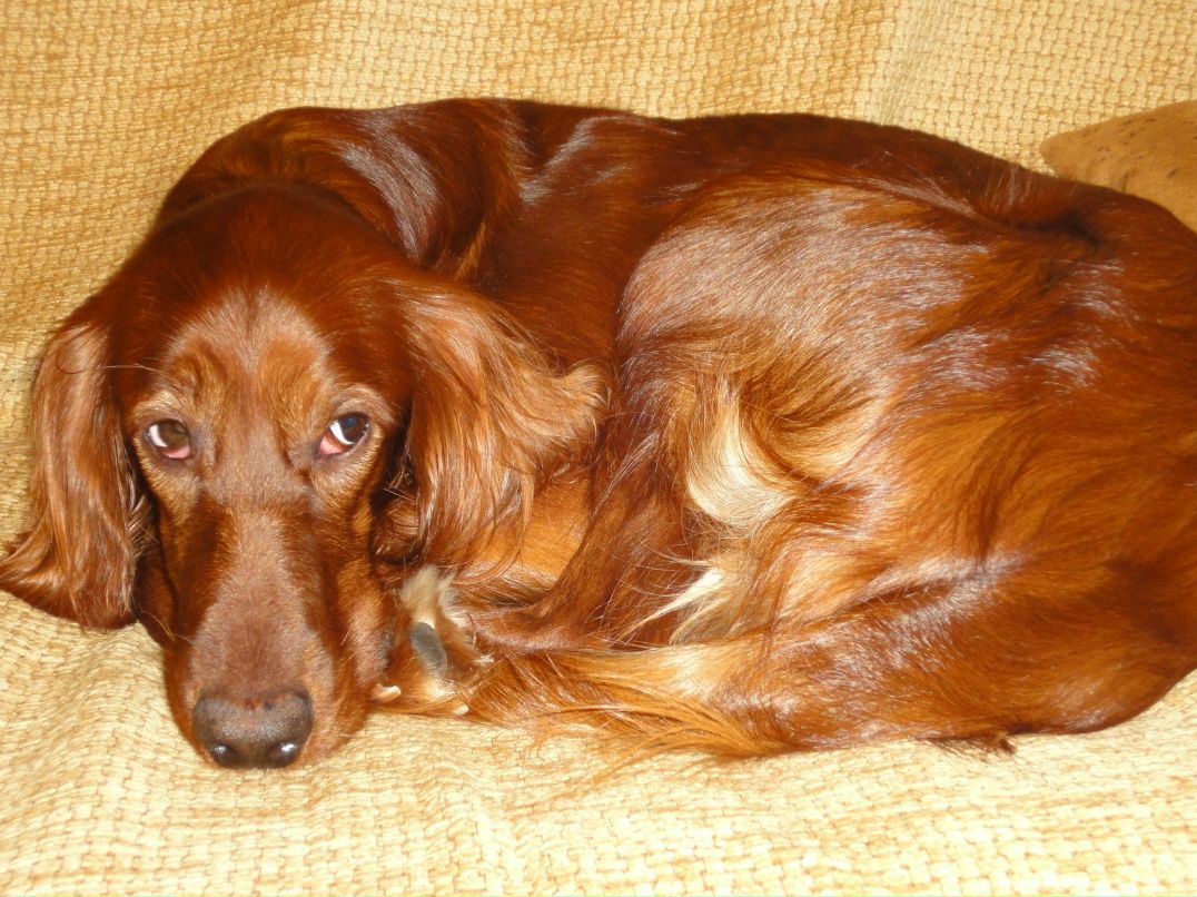 Ира Иванова zaichiha | Москва