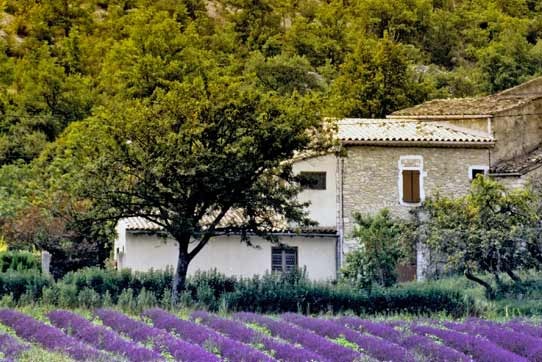 №72, Дарья Никонорова, 37 лет, Москва №72, Дарья Никонорова, 37 лет, Москва