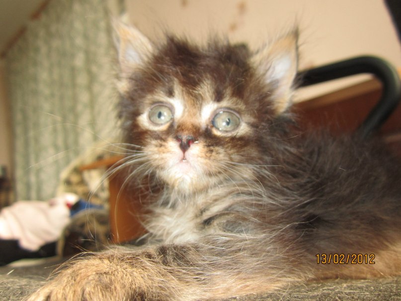 Ира Путилина ♫♪•♥¸¸.•★*•♫.♥♫♪•♥¸¸.•★ | Рязань