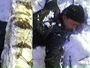 Фотография Алексей Молчанов
