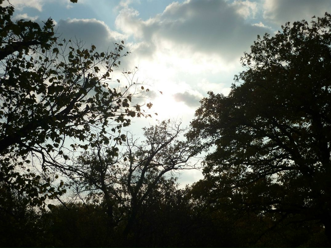 Виталий Селиванов #Morgan# | Михайловка