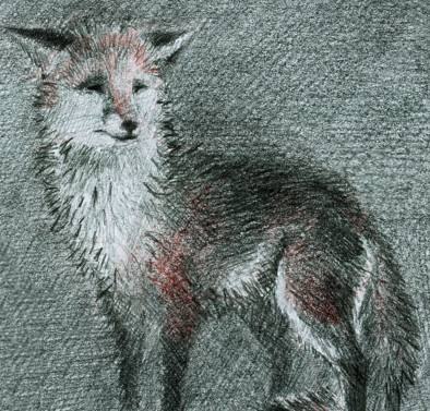 Константин Трифонов | Красногорск