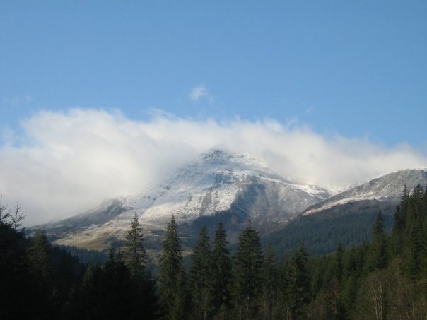 Наталія Тацишин-Войчишин | Ивано-Франковск