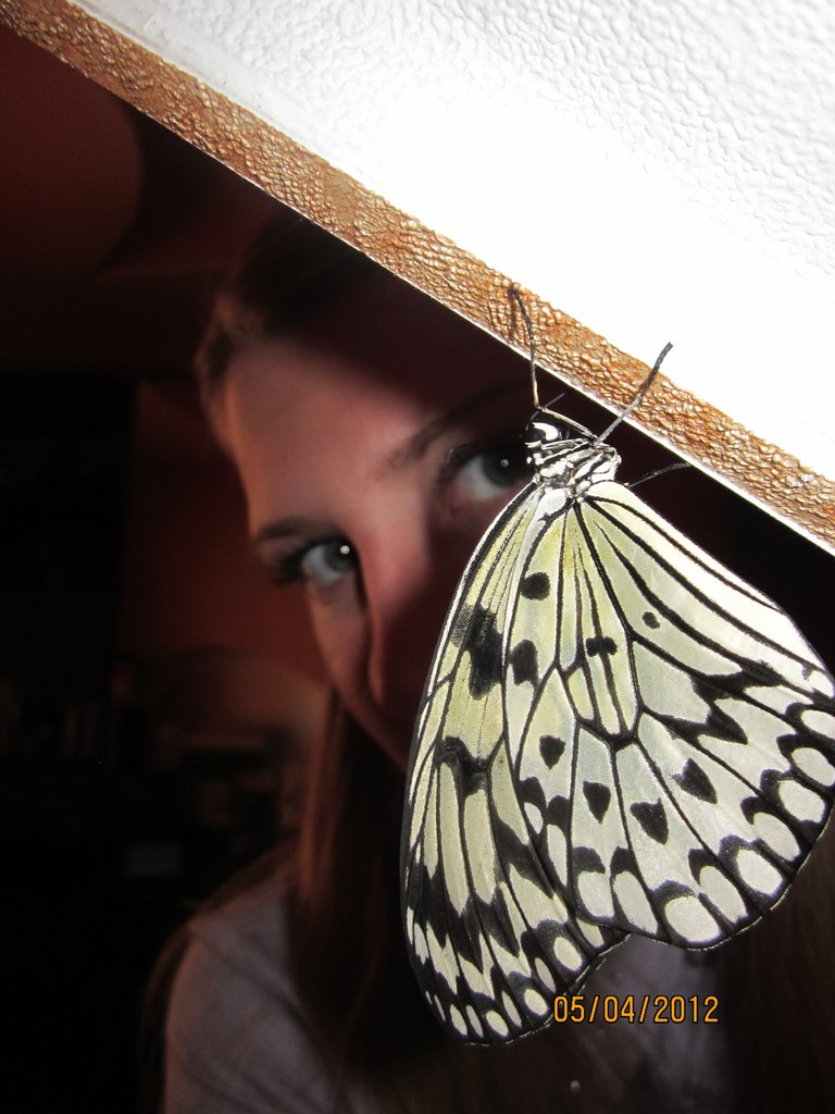 Маринка Кукол | Мурманск