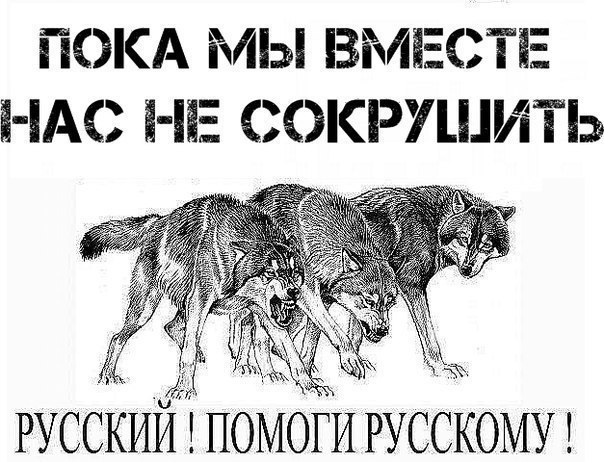 Александр Шустров | Мошенское