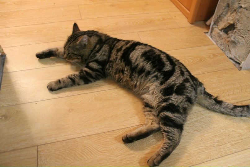 Денис Макаров | Нижний Новгород