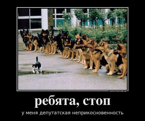 Анжела Нефедьева | Санкт-Петербург