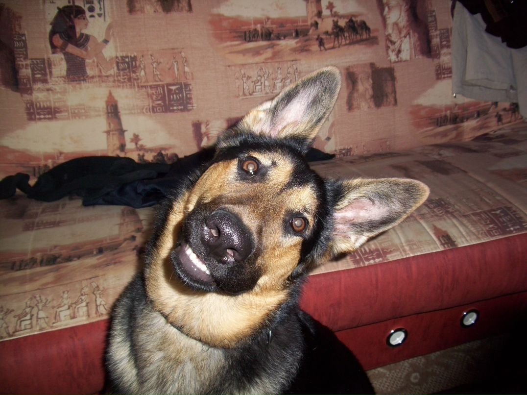 Дмитрий Горшенин Belive | Ульяновск