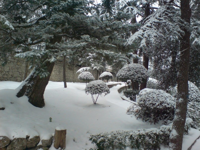 Никель Кобальтов Вольфрамович | Ялта