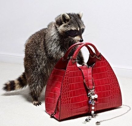 Наташа Джим - BAXT- Enot | Санкт-Петербург