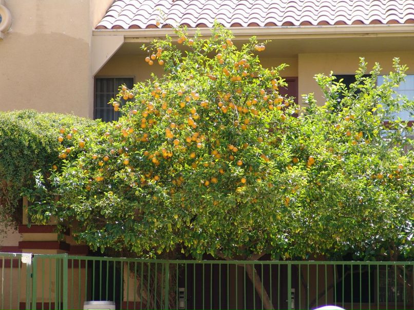 Станислав Разумов | Москва