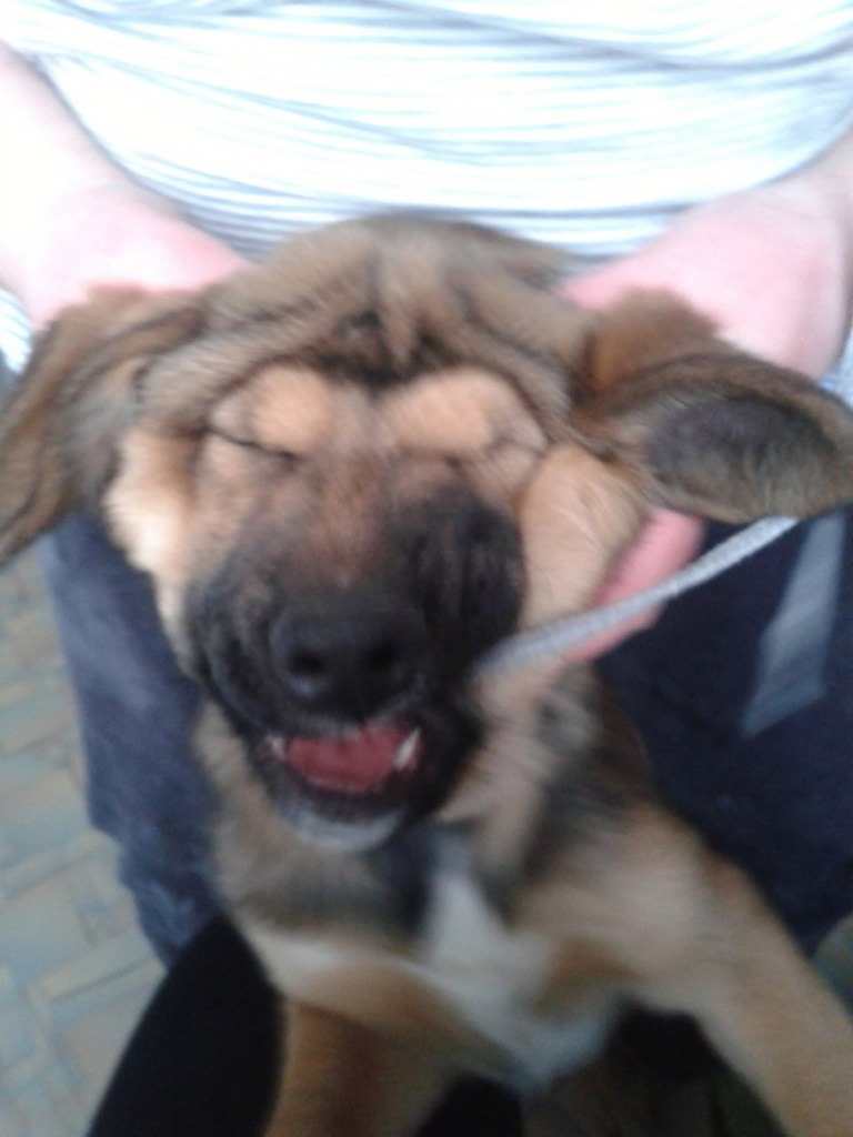 Екатерина Ширшова √Кисуля√ | Домодедово