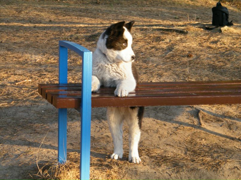 Елена Лещинская | Гродно