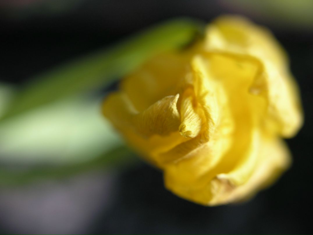 Тай На | Самара