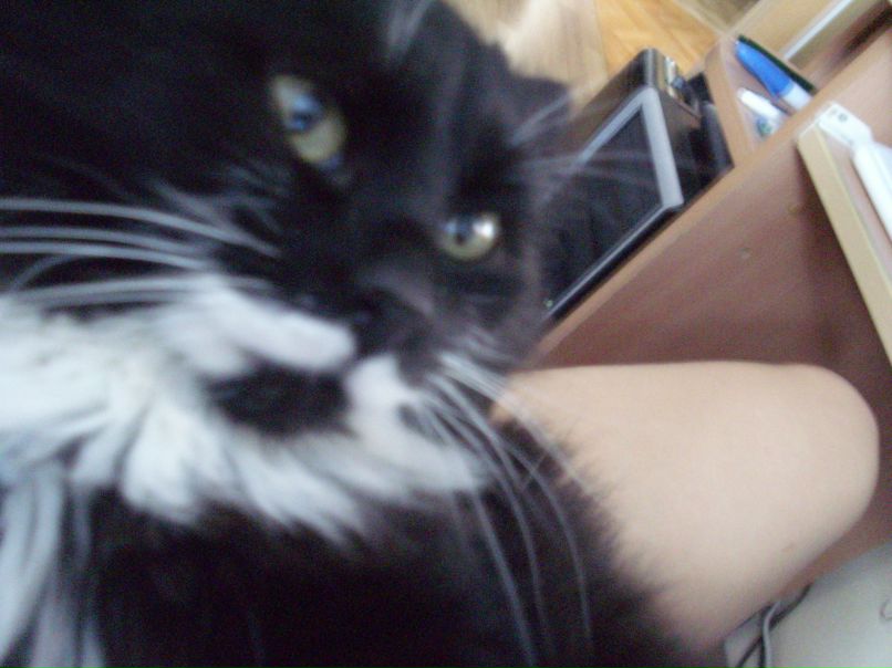 Юлия Рыбчик [подкиньте еще людей в печь] | Минск