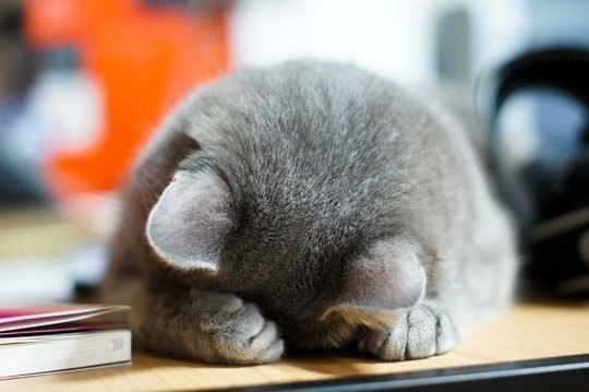 Настя Литвинко | Минск