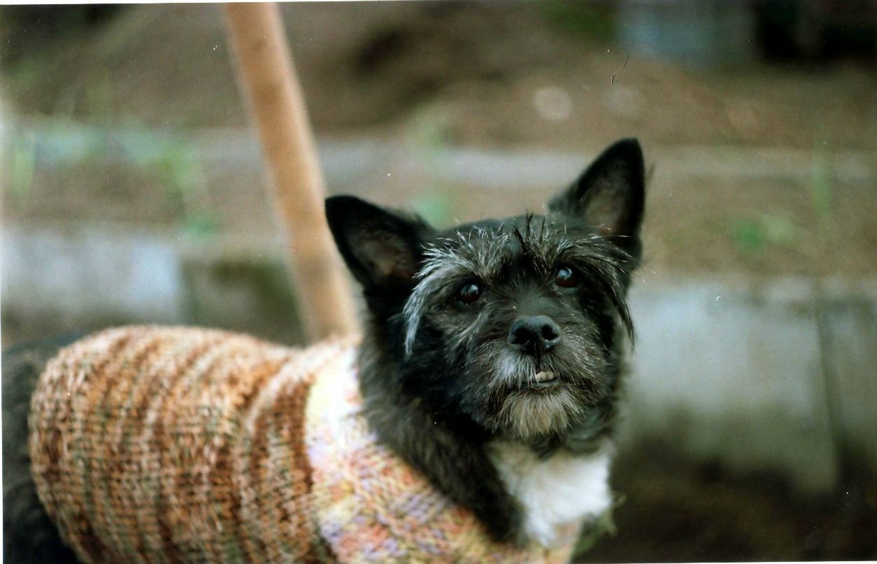 Антонина Лукьянова | Пермь