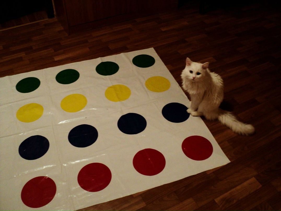 Оля Белятко | 