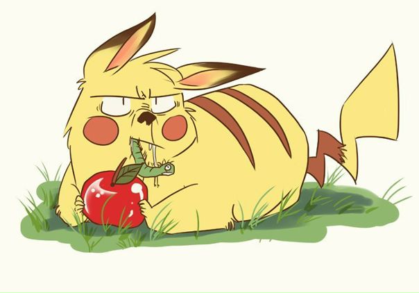 №8, Настюшка Тимошенко, Бердичев №8, Настюшка Тимошенко, Бердичев