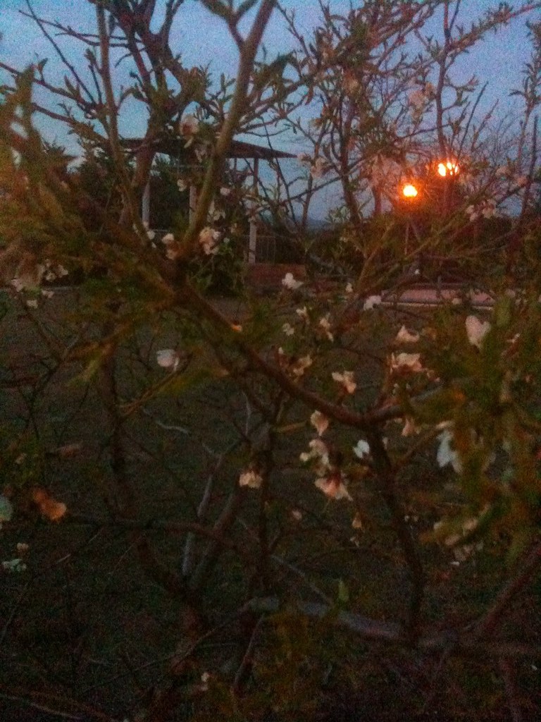 Юрий Савельчев (Розенгауз) אורי | Helsinki