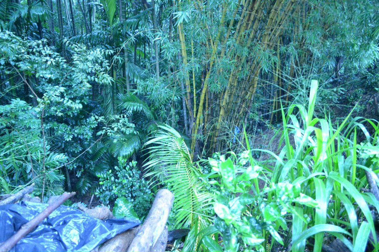 Виталий Литвиненко | Киев