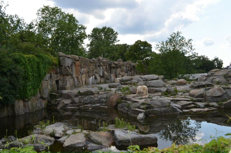 Екатерина Матник | 