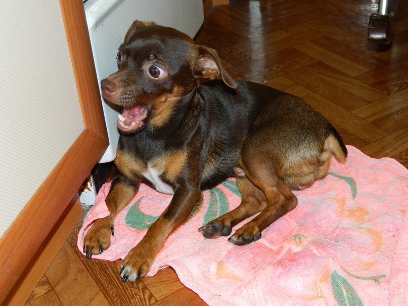 Оксана Бельская | Ульяновск