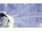 Алексей Лесик | Харьков