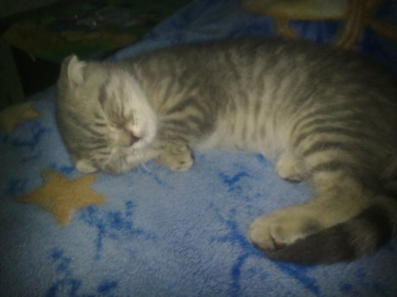 Сергей Маслюков | Воронеж