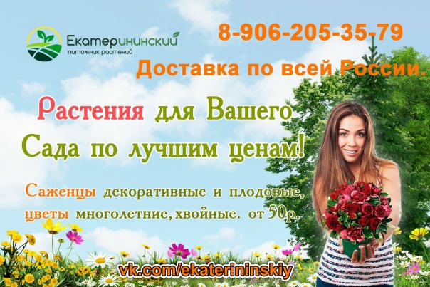 Интернет Магазин Екатерининский Питомник Растений